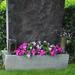 Sommerbepflanzung: Jardiniere Lieschen