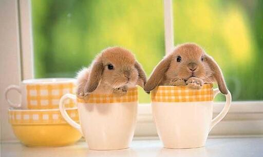 Ostern 2025